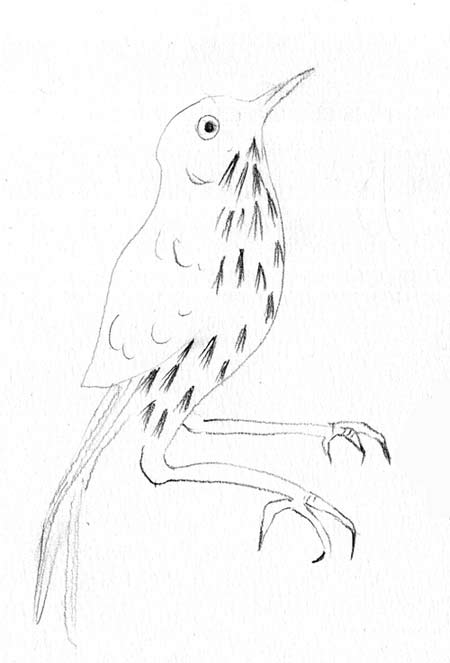 Bird imagining his piano