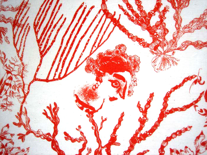 Seaweed with ladies and gents (close-up)