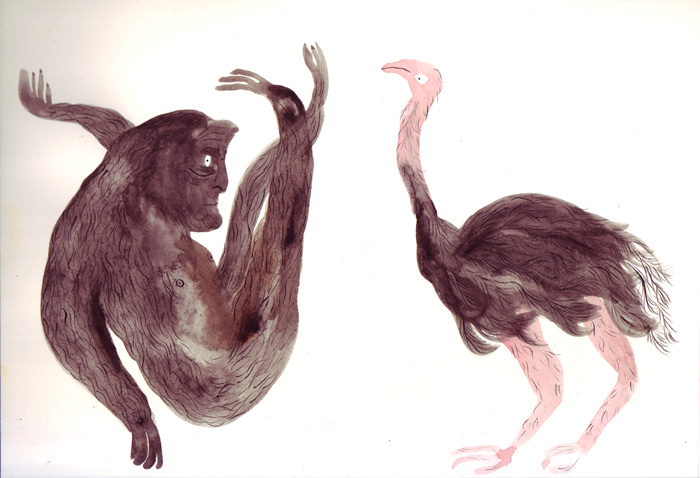 gorilla-and-ostrich-blog2